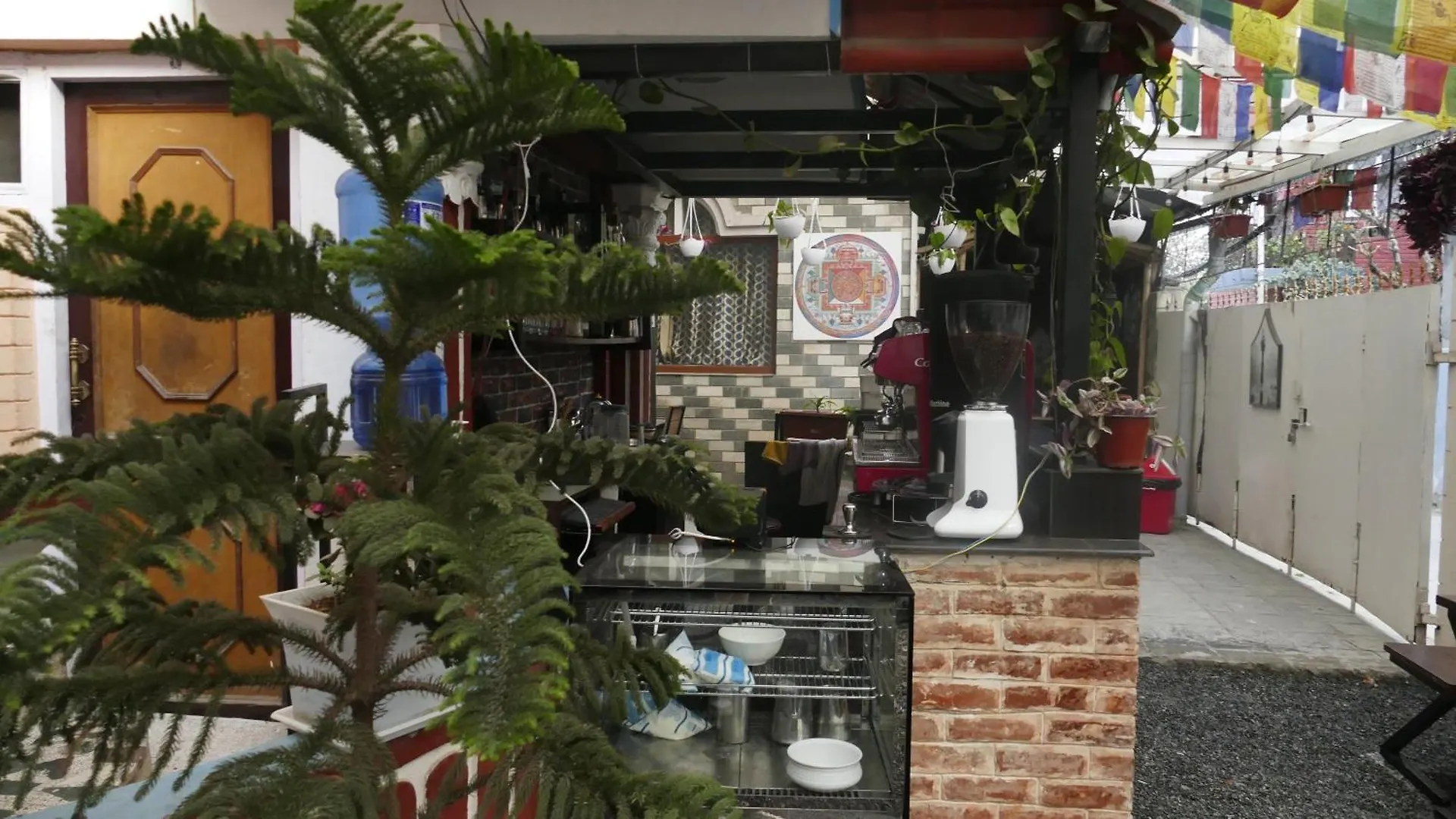 Best Hostel In Thamel Kathmandu
